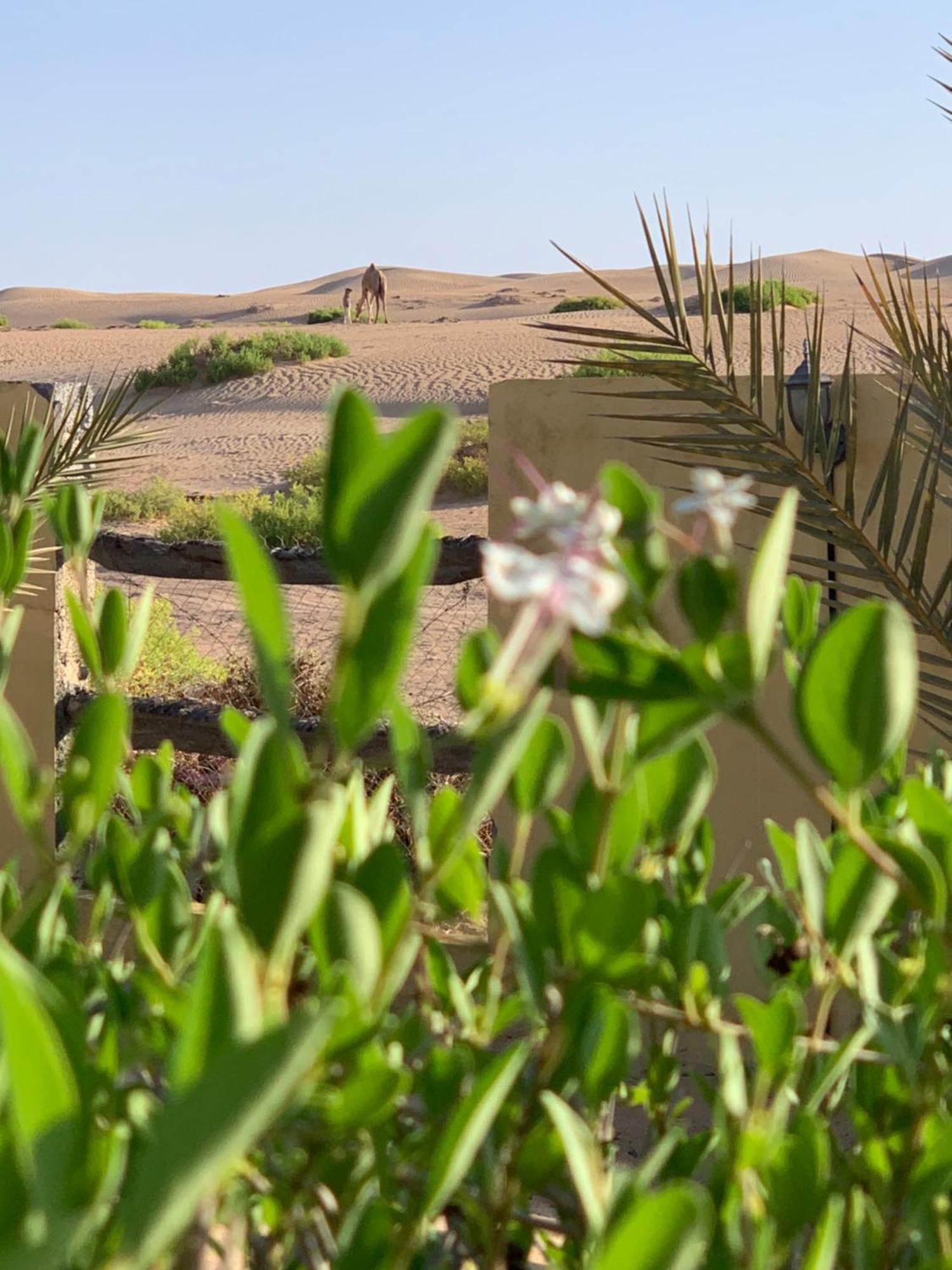 Golden Palm Oasis Hotel Fulayj al Masha'ikh Kültér fotó